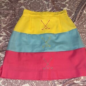 Vibrant A-Line Skirt with Embroidered Accents